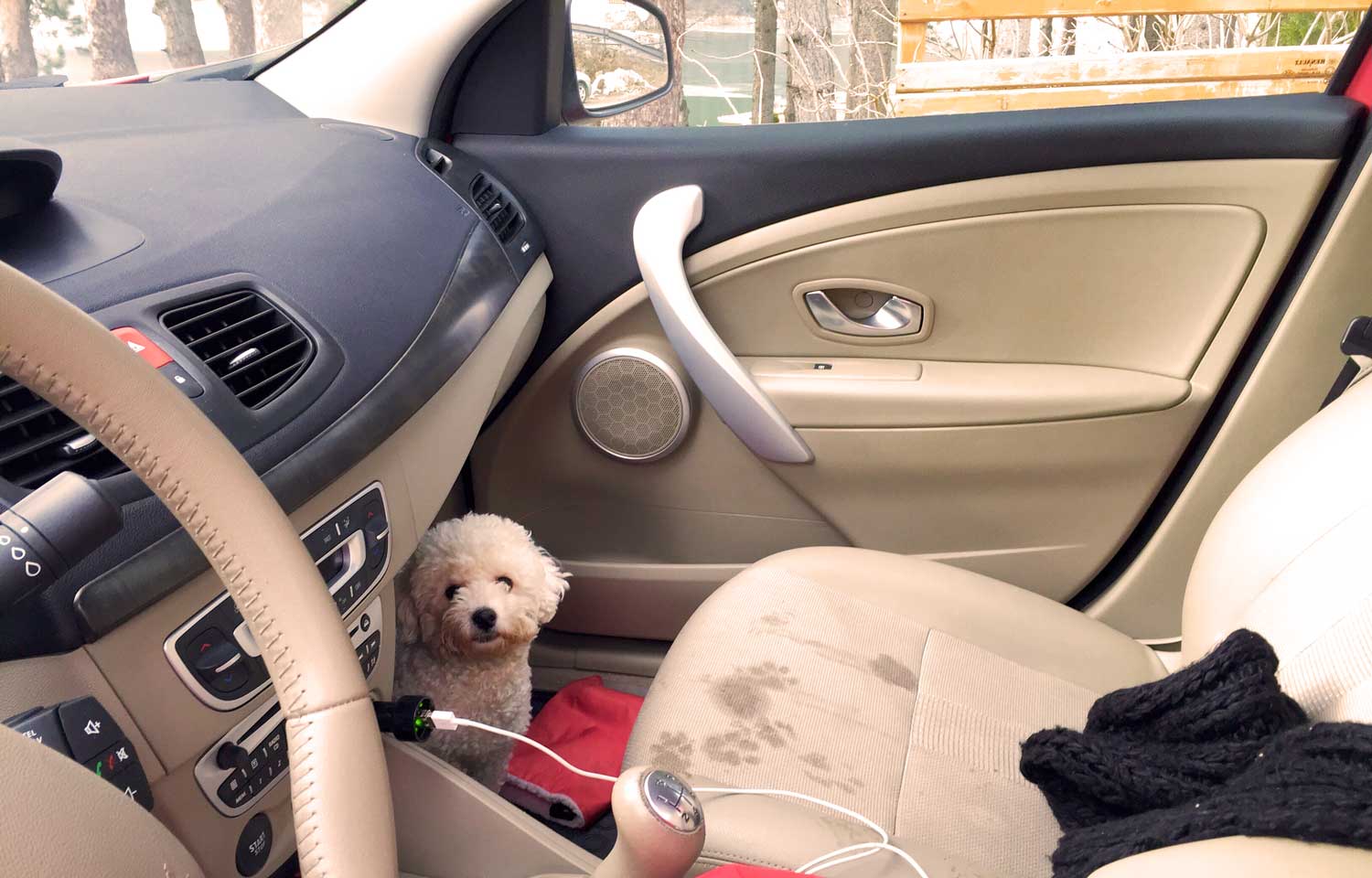 La mejor manera de limpiar la tapicería de tu coche